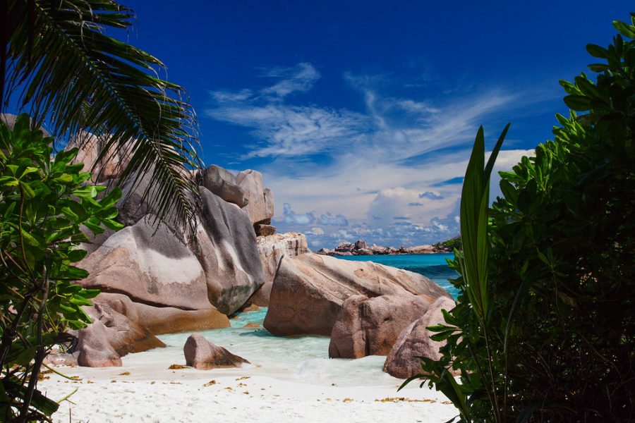 La Digue Full Day Tour