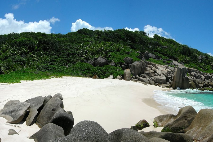 Anse Marron Hike 2 Adults