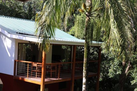 Cashew Nut Grove Chalets – Mahe